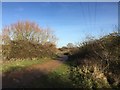 Disused railway track towards Doddington Crossing