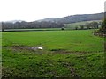 A field of winter cereal near Little Malvern