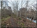 Path by the Balnagown river