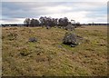 NH5452 : Muir Of Conan Chambered Cairn by valenta