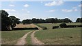 Farm road, Buckland