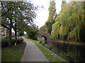 Wyrley & Essington Canal, New Cross (2)