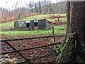 Corrugated shed