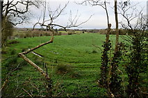 H4268 : Mullaghmore Townland by Kenneth  Allen