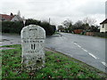 Milestone in Norwich Road, Tacolneston