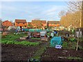 Eton Allotments