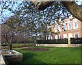 Looking across to Furnivall Gardens