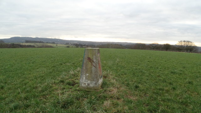 Trig point at Iverley