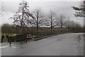 Tree-lined part of Wern Crescent, Nelson