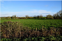 H4763 : Tullyvally Townland by Kenneth  Allen