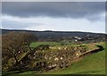 Hen chwarel fferm / An old farm quarry