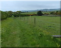 Cleveland Way at Beast Cliff