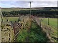 Footpath near Rose Cottage