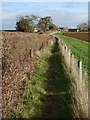 Footpath near Smokey Farm