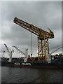 NZ2963 : Hammerhead Crane at Newcastle Docks by Colin Cheesman