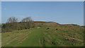 SO3222 : On Offa's Dyke Path by Pen Twyn Hill Fort above Pandy by Colin Park