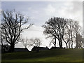 Houses and trees at Minffordd