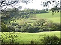 Valley between Peruppa and Heligan