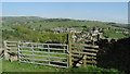 On Calderdale Way leading down to Mill Bank near Ripponden