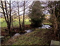 Unnamed brook in Llanfabon