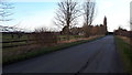 Horses in field at Lower Farm