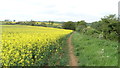 Field path N of Somerby, Leics