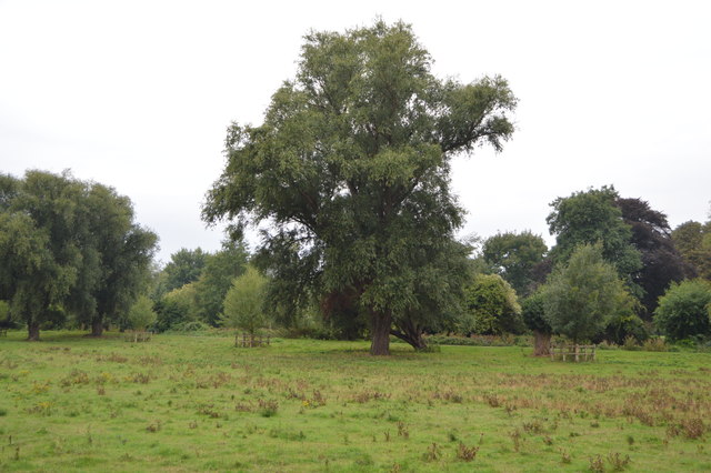 Sheep's Green Lammas Land © N Chadwick :: Geograph Britain and Ireland