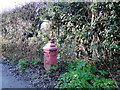 Unusual mail box in Burgh Wood Road (a Track)