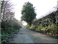 A track which is Burgh Wood Road at Rollesby