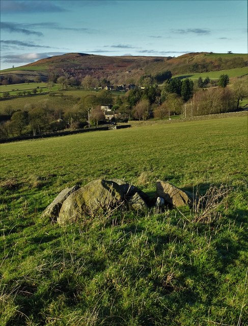 Stones in a field on Ridgeway Side