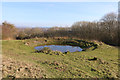 Midday Christmas 2018 view of the dew pond by Butts Lane