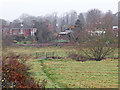 Pasture by Smestow Brook south of Wightwick, Wolverhampton