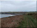 SM7226 : Porthselau and the southern end of Whitesands Bay/Traeth Mawr by HelenK