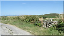 V9621 : Cape Clear Island - signed loop path at Coinlin by Colin Park