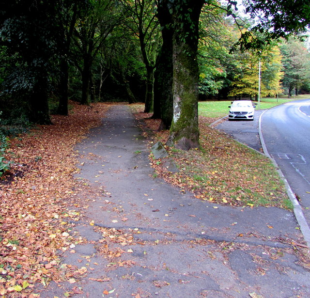 Tree-lined pavement, Pentwyn Road, Ton Pentre