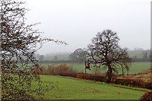 SO8697 : Staffordshire farmland south of Wightwick by Roger  D Kidd