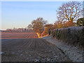 TM2744 : Waldringfield: a frosty Christmas morning by John Sutton