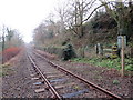 Llwybr Talardd / Talardd Path