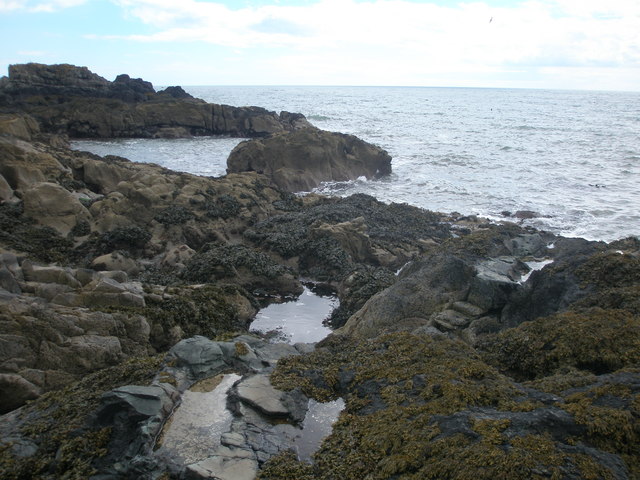 Coastal erosion features by Tod's Hole