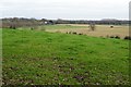 SO8044 : Farmland near Blackmore Park by Philip Halling