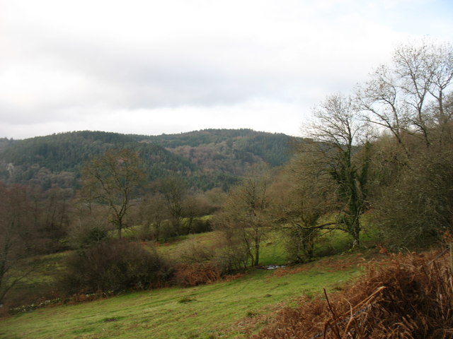 Woods north of Glyn Lledr
