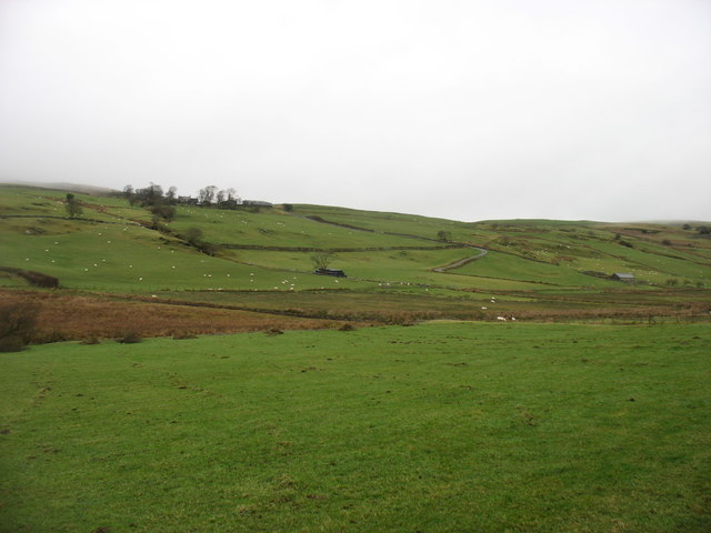 Farmland at Llwyn Gwgan