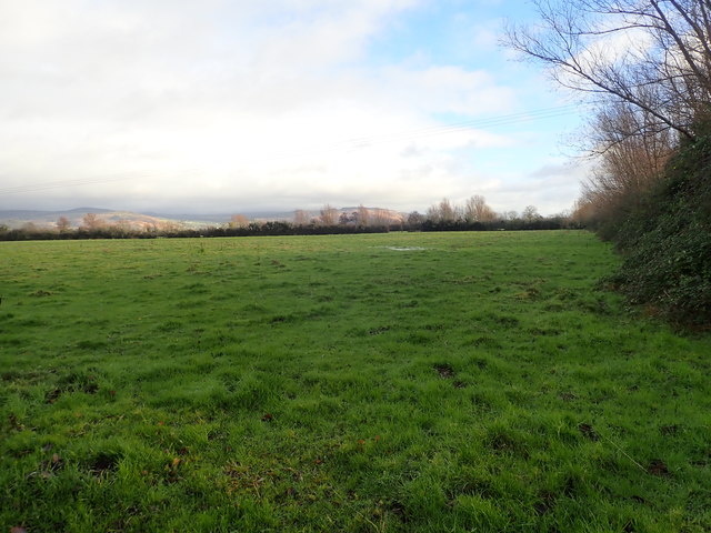 Grazing land liable to flooding east of the Red Barns Road