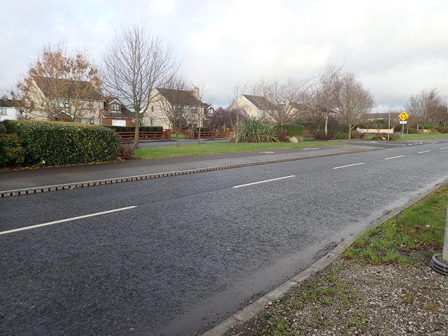 Coill na Rós, Marsh South, Dundalk © Eric Jones cc-by-sa/2.0 ...