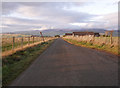 NH5856 : Braes of Balnabeen road by Craig Wallace