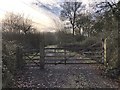 Bridleway to Hyffold Wood