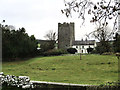 S3463 : Clomantagh Castle by kevin higgins