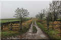 Moor Lane on a Misty Day