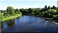 View SE along R Tweed from Kelso Bridge