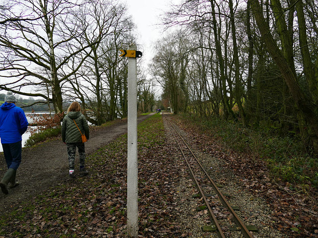 Fixed signal on the LRR